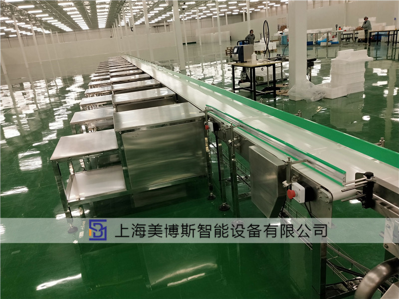物流皮带输送机
